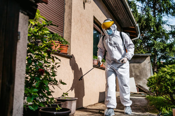 Wildlife Control Services in Succasunna, NJ