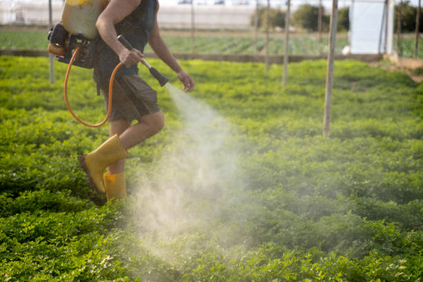 Best Pest Control Near Me  in Succasunna, NJ